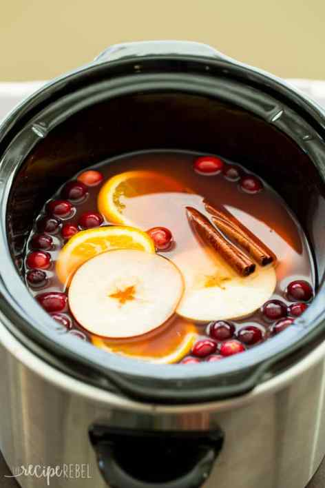 Slow-Cooker-Cranberry-Apple-Cider-www.thereciperebel.com-1-of-8